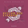 Never Heard (Original Mix) - Rhythm Box&Everdom