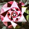 Falling In Love (Original Mix) - Stelmarya