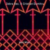 Wake Up to Reality - Zebra Rec.&Cristian Dumitru