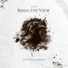 Birds Eye View (Explicit) - A9e