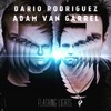 Flashing Lights (Original Mix) - Dario Rodriguez&Adam Van Garrel