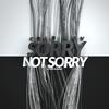 Sorry Not Sorry (Acoustic Chillout Version) - Cold Luv