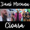 Cioara - Dani Mocanu