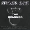 Pakleno Slobodna (Space Cat Remix) - Denise