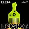 Lick Shot (Radio Edit) - FERAL is KINKY