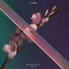 Never Be Like You (Explicit) - Flume&KAI