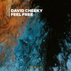 Consequences - David Cheeky