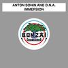 Immersion - Anton Sonin&D.n.A.