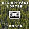 Inte uppväxt i orten (Explicit) - Skogen