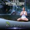 Eyes Wide Closed (5thDimension's Emotional Remix) - Ledo