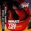 What You Get (Original Mix) - House Of Virus&Marie Tweek