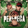 Vem Perereca (Explicit) - Mc Kalzin&DJ Cleitinho