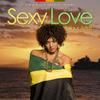 Sexy Love (Dancehall/Human Nature Mix) - Various Artists&Hakim&Yt