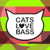 My Afternoon (Original Mix) - CL-ljud