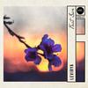 First Sun - LeVirya