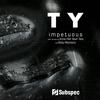 Impetuous (Sean Tate Remix) - T Y&Sean Tate