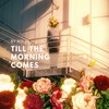 TILL THE MORNING COMES (2023 Remastered Version) - Rolih