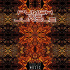 Punch of Jungle (Original Mix) - Xila