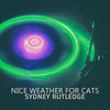 Nice Weather For Cats (Crazy Wet Cat Mix) - Sydney Rutledge