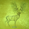Hidden Subtleties (Original Mix) - RFTT