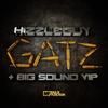 Gatz - Hizzleguy