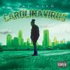 Virus (feat. Setitoff83) (Explicit) - Val Vito&Setitoff83