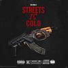 STREETS IS COLD - Skaiblu