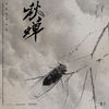 白昼 - 泳儿