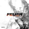 Feuer - Arktis