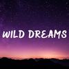 Wild Dreams - Dangel