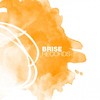 House-Riot (Original Mix) - Wollion