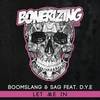 Let Me In (Original Mix) - Boomslang&SAG&D.Y.E