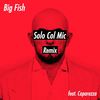 Solo Col Mic (Remix) - Big Fish&CapaRezza