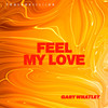 Feel My Love (Edit) - Gary Whatley