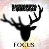 Focus (Radio Edit) - Bassanova&Moradzo