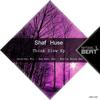 Think Slow (Dan Noel Remix) - Shaf Huse