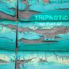 Fresh Paint (Little Birds mix) - TRIPNOTIC