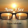 Now I See - Toyin Adekale