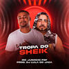 Tropa do Sheik (Explicit) - Mc Juninho FSF