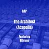 The Architect (Acapella|Explicit) - AAP&9eleven