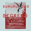 Segredo (Richard Dorfmeister & Stefan Obermaier RMX) - To Ricciardi