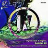 Salini - Dylan Deck&Nigel C