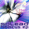 Hibiscus (D-Sens Remix) - D-sens&Solead