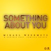 Something About You (Sebastian Gnewkow & Martin Shape Remix) - Mikael Weermets&Audible&Camilla Brinck