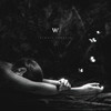 Nezhnee nezhnogo - Wildways