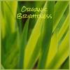 Organic Brightness - Isse Juls