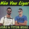 Não Vou Ligar - Joao&Vitor Hugo