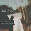 Casanova (The Wild Remix) - Allie X&The Wild