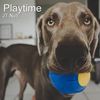 Playtime - JT Nutt&John Nutt