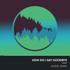 How Do I Say Goodbye (Electro Acoustic Mix) - Jason Born